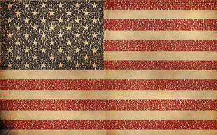U.S.A. flag digital wallpaper